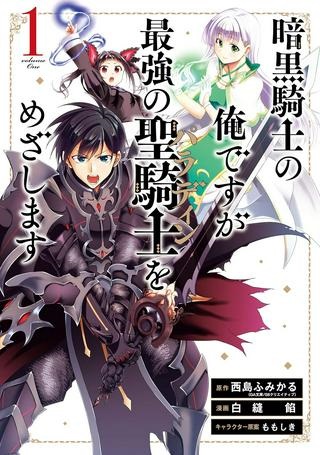 暗黒騎士の俺ですが最強の聖騎士をめざします