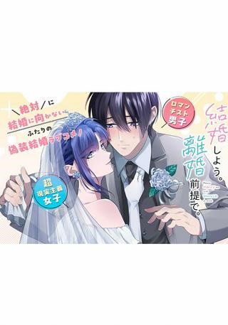 結婚しよう。離婚前提で。